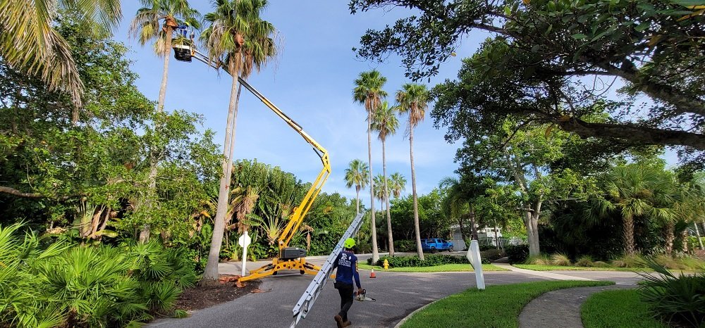 Dalton's Landscape Service LLC Englewood FL worker carrying stairs